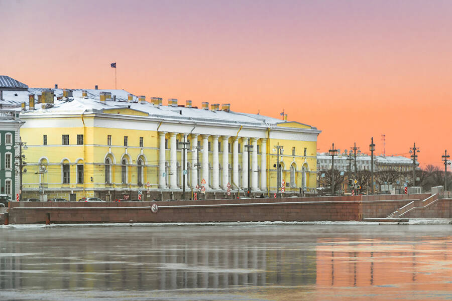 Здание Зоологического музея в Петербурге